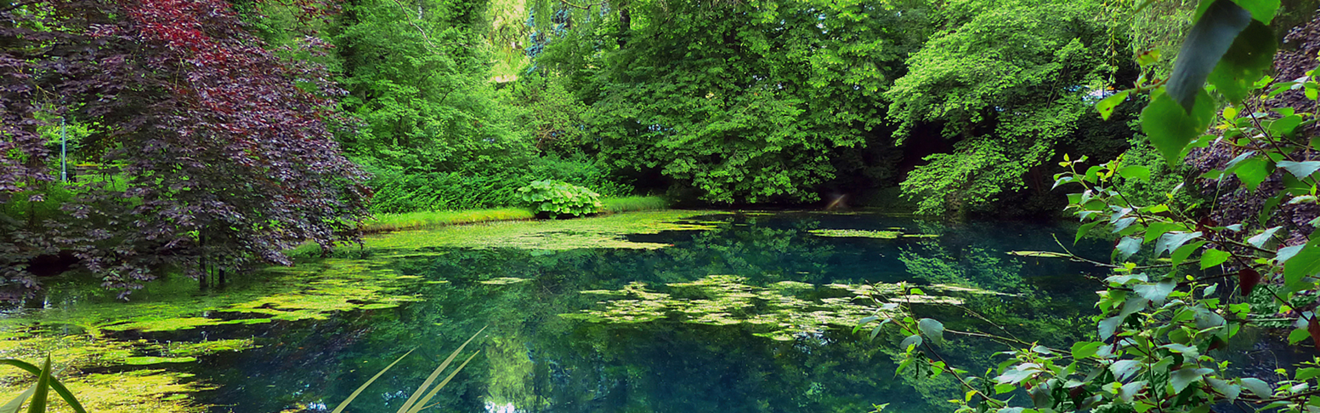 [Translate to Polnisch:] WeCare Ölweiher